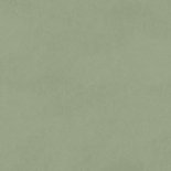 Lief stoer geboortekaartje voor een regenboogbaby met walvis Achterkant