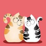 Liefde en vriendschap - twee katten knuffelen 2