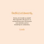Lieve felicitatiekaart kindje op komst met gansjes en ei 3