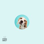 Lieve het spijt me kaart van hondje met schuin koppie 2