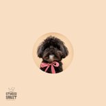 Lieve hondenkaart van zwart hondje met roze strik om nek  2