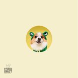 Lieve leuke beterschapskaart van hond in kikkerpakje 2