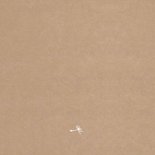 Meisje Paardebloem Kraft Geboren Achterkant