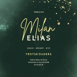 Minimalistisch geboortekaartje donkergroen stijlvol 3