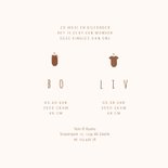 Minimalistisch geboortekaartje tweeling met 2 rompertjes 3