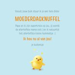 Moederdag narcissen met kuiken 3