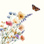 Mooie beterschapskaart met wilde bloemen en vlinders 2
