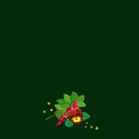 Mooie kerstkaart met teksten. takjes, bloemen, wijn en ster 2