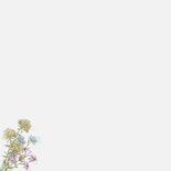 Mooie rouwkaart met wilde bloemen in aquarel Achterkant