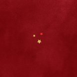 Nieuwjaarskaart 2026 Chinees goud sterren rood Achterkant