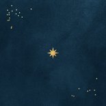 Nieuwjaarskaart liefdevol sterren goud fotokaart nieuwjaar Achterkant