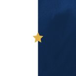 Nieuwjaarskaart met 11je Achterkant