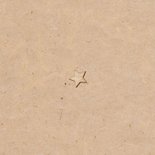 Nieuwjaarskaart persoonlijk fotocollage hart liefde sterren Achterkant