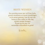 Nieuwjaarskaart roodborst 3