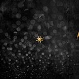 Nieuwjaarskaart zakelijk 2026 sterren goud happy new year Achterkant