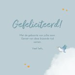 Olifant en leeuw op papieren vliegtuigje 3