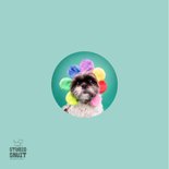 Opfleurende hondenkaart van boomer hond met bloemenmuts op 2