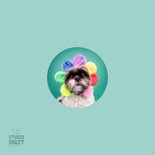 Opfleurende hondenkaart van boomer hond met bloemenmuts op 2