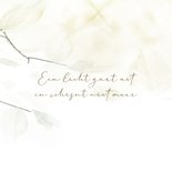 Rouwkaart bladertak wit sereen 2