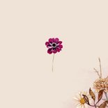 Rouwkaart herfstanemonen winterkoninkje Achterkant