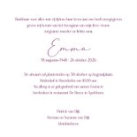 Rouwkaart hortensia's met vlinder 3