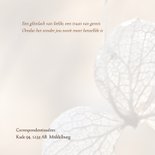 Rouwkaart hortensia 2