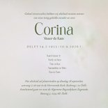 Rouwkaart koolwitje op fluitenkruid 3