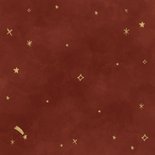 Rouwkaart meisje met roestkleur en sterretjes Achterkant