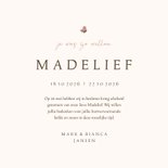 Rouwkaart met beertje en roze vlinder 3