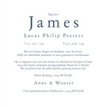 Rouwkaart met blauw vlindertje waterverf illustratie 3