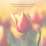 Rouwkaart met rood-gele tulp  2