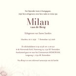 Rouwkaart met roodbruine Gerbera bloem 3