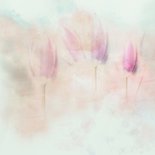 Rouwkaart tulpen zacht pastel Achterkant