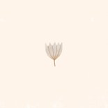 Rouwkaart vierkant vrouw bloemen oker beige Achterkant