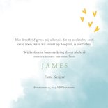 Rouwkaart vlinder jongen groen met waterverf achtergrond 3