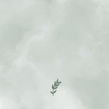 Rouwkaart Vredesduif - rust in vrede Achterkant