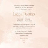 Rouwkaart waterverf zalmroze stijlvol foto takje  3