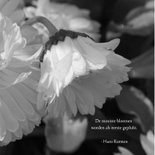Rouwkaart - Witte bloem dauwdruppels 2
