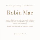 Rouwkaartje stilgeboorte met beige waterverf in de hoek 3