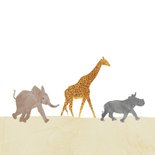 Safari dieren verjaardagskaart  2