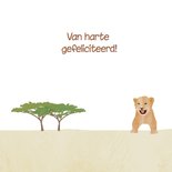 Safari dieren verjaardagskaart  3