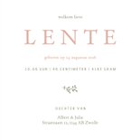 Schattig geboortekaartje met takjes en bijtjes  3