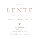 Schattig geboortekaartje met takjes en bijtjes  Achterkant