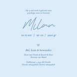 Schattige blauwe geboortekaartjes met gansjes voor broertje 3