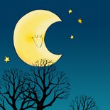 Sinterklaaskaart Loeki als Sinterklaas zit op het dak 2