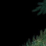 Sjieke kerstkaart kerstboom tak goud groen hip Achterkant