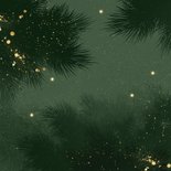 Sjieke kerstkaart koolmeesje kerstboom lichtjes Achterkant