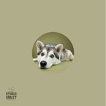 Sterkte kaart van liggend hondje met kop op grond 2