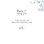 Sterktekaart Eucalyptus bloemen 3