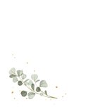 Sterktekaart eucalyptus takje stijlvol hartjes condoleance 2